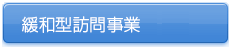 緩和型訪問事業